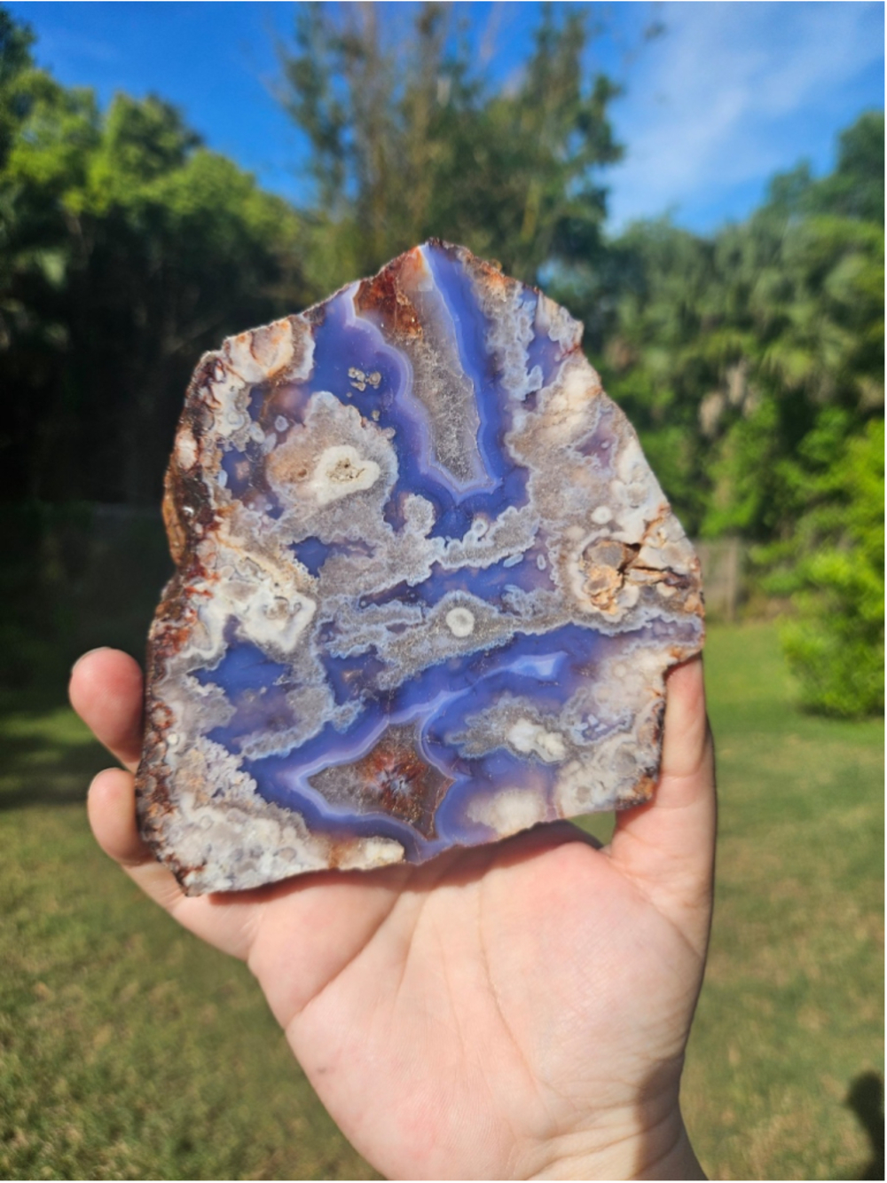 Blue flower agate slab 4.3 in